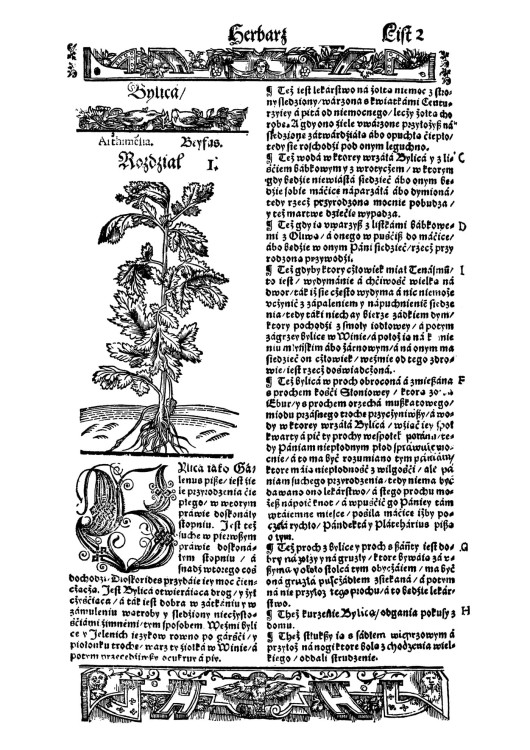 Herbarz_Marcina_Siennika (4).jpg