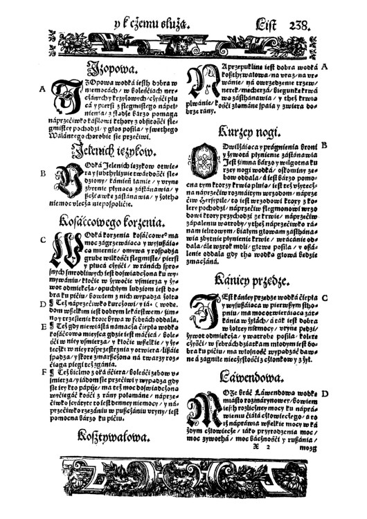 Herbarz_Marcina_Siennika (5).jpg