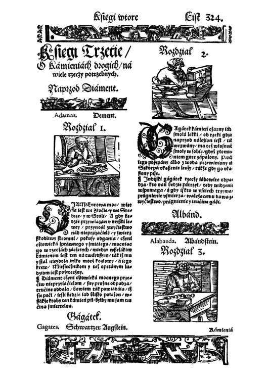 Herbarz_Marcina_Siennika (6).jpg