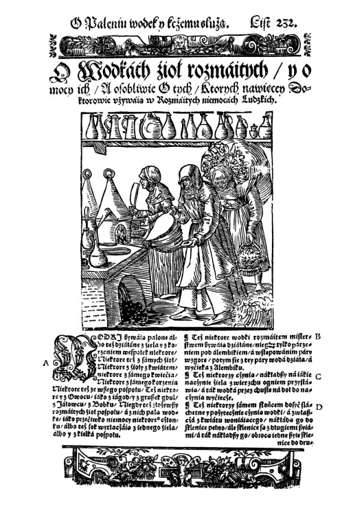 Herbarz_Marcina_Siennika (11).jpg