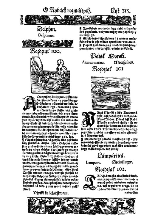 Herbarz_Marcina_Siennika (12).jpg