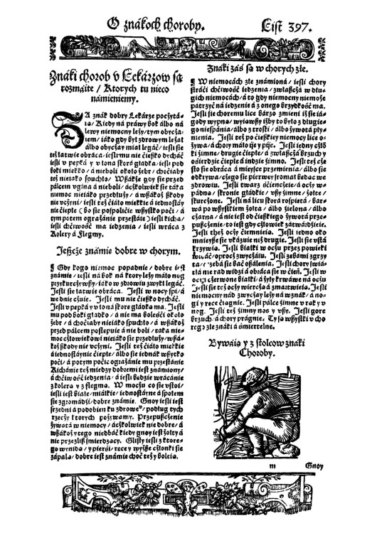 Herbarz_Marcina_Siennika (13).jpg