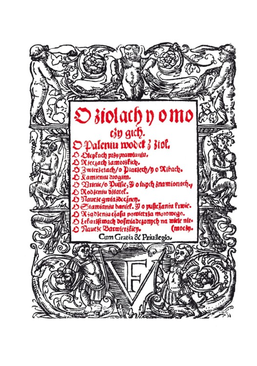 O ziolach i o mocy ich Falimirz (1).jpg