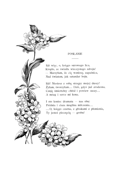 Ada-negri-Niedola-Burze-w-przekladzie-Konopnickiej-druk-204.jpg