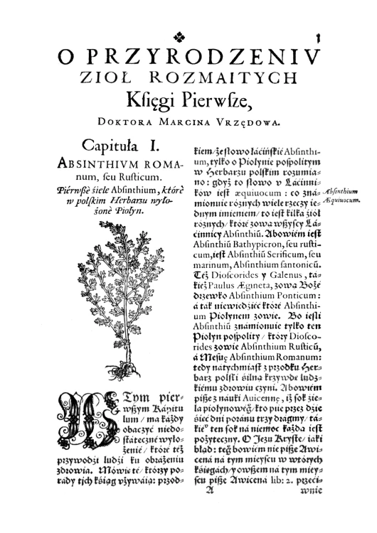 Herbarz Marcina z Urzedowa (3).jpg