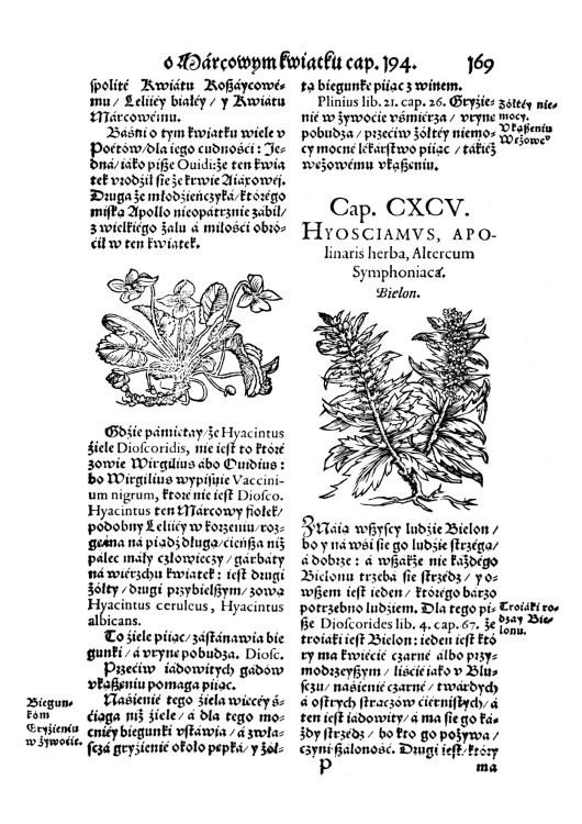Herbarz Marcina z Urzedowa (5).jpg
