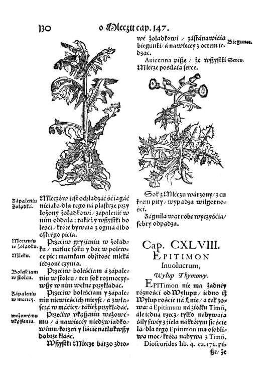 Herbarz Marcina z Urzedowa (6).jpg