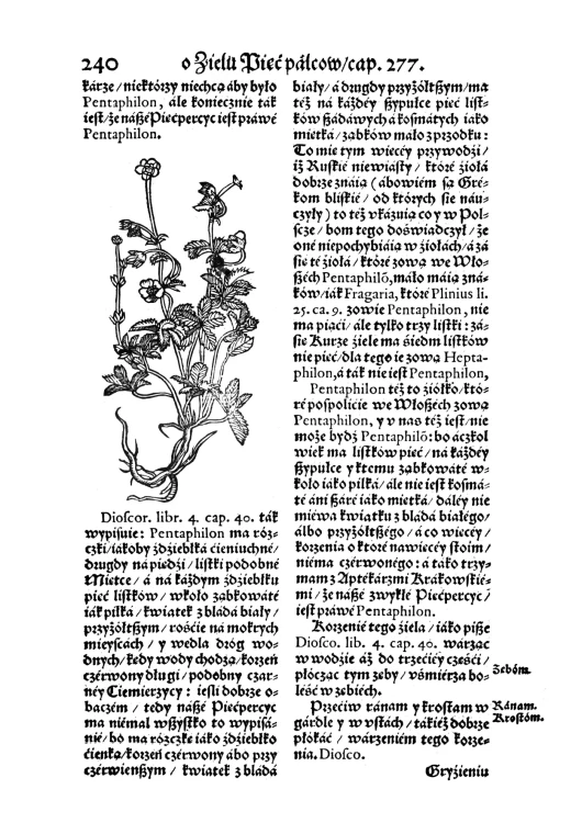 Herbarz Marcina z Urzedowa (8).jpg