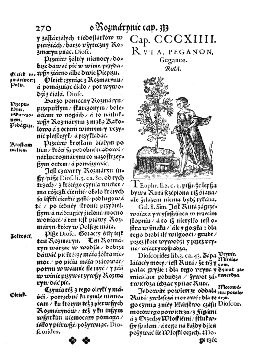 Herbarz Marcina z Urzedowa (9).jpg