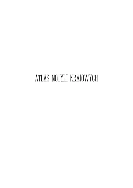 Atlas Motyli Dyakowski (2).jpg