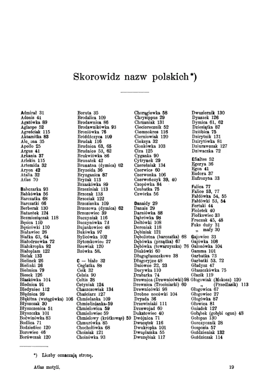 Atlas Motyli Dyakowski (12).jpg