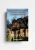 Budownictwo-drewne-gloger.webp