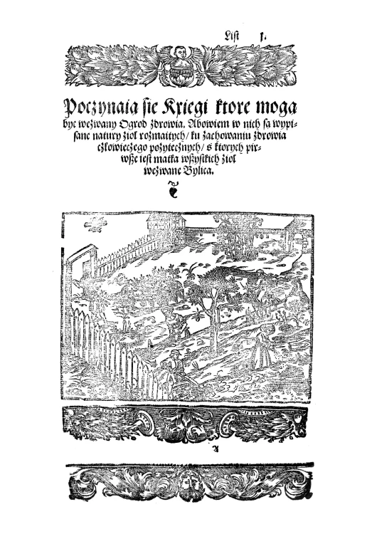 O ziolach tutecznych y zamorskich y o mocy ich - Spiczynki v3a5_converted-33.jpg